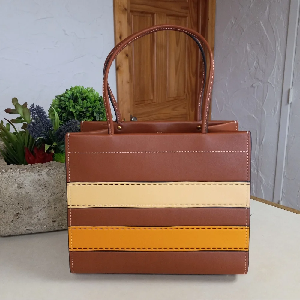 Cashin Carry Bag 22 With Trompe L'oeil Print, Saddle Multi 2022 Runway
